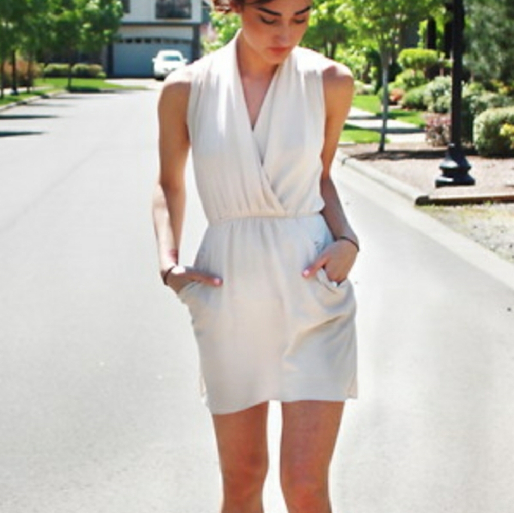 Aritzia Wilfred Free Dress
